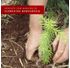 05-G244016YGL-florestas-renovaveis