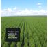 10-GRGL27000209-florestas-renovaveis